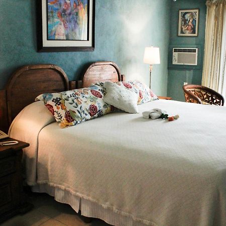 Villa Mirasol San Miguel de Allende Ngoại thất bức ảnh